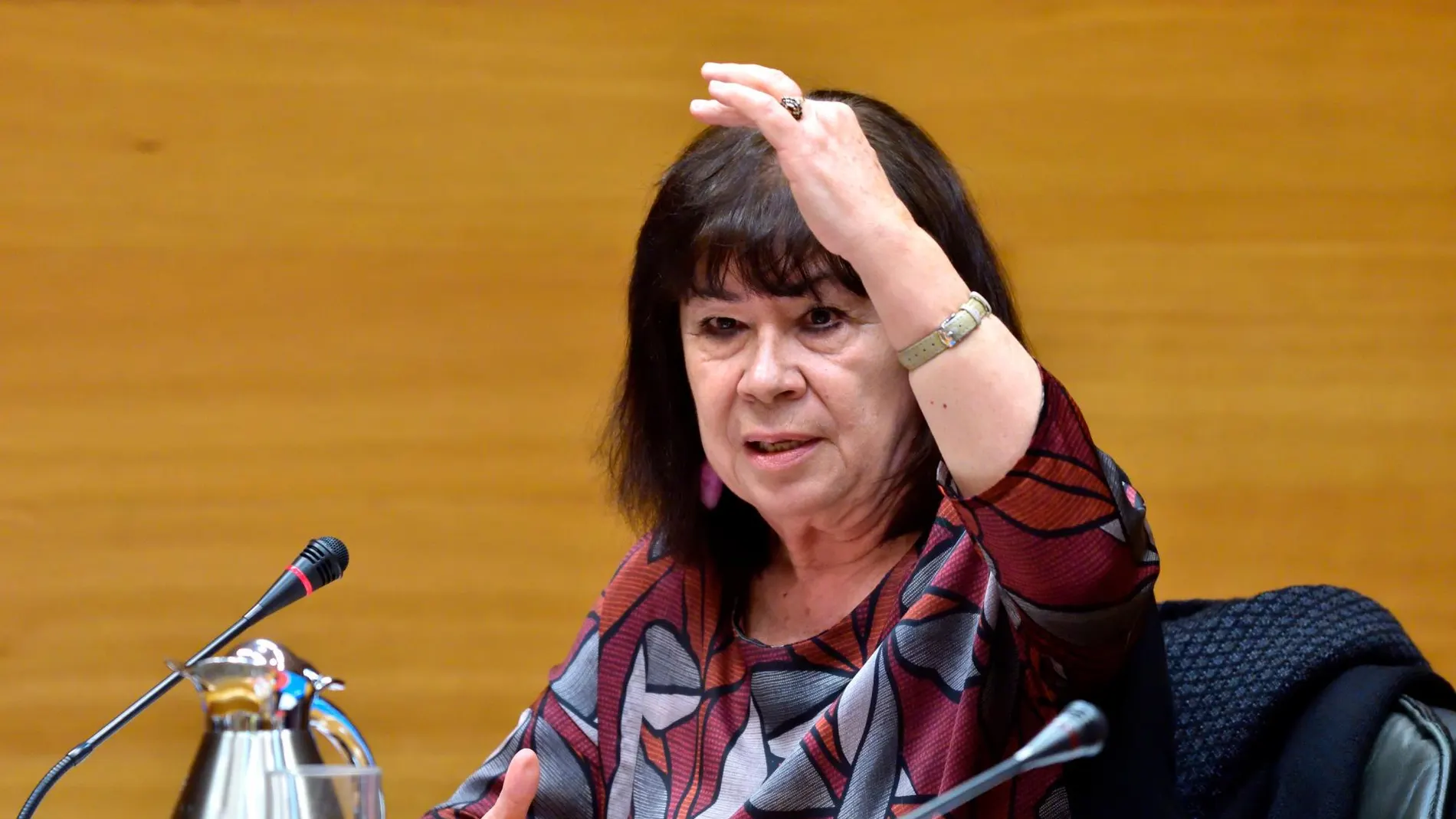 La exministra compareció en la Comisión de Investigación de la Financiación del PSPV y Compromís y dijo no saber nada al respecto