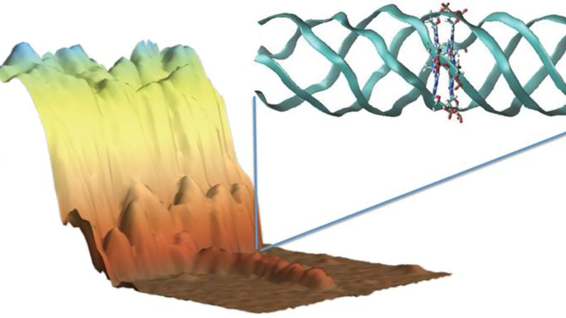 Imagen tomada con un microscopio de fuerzas atómicas de una molécula de G4-ADN depositada sobre una superficie de mica. La estructura atómica del G4-ADN se muestra arriba a la derecha