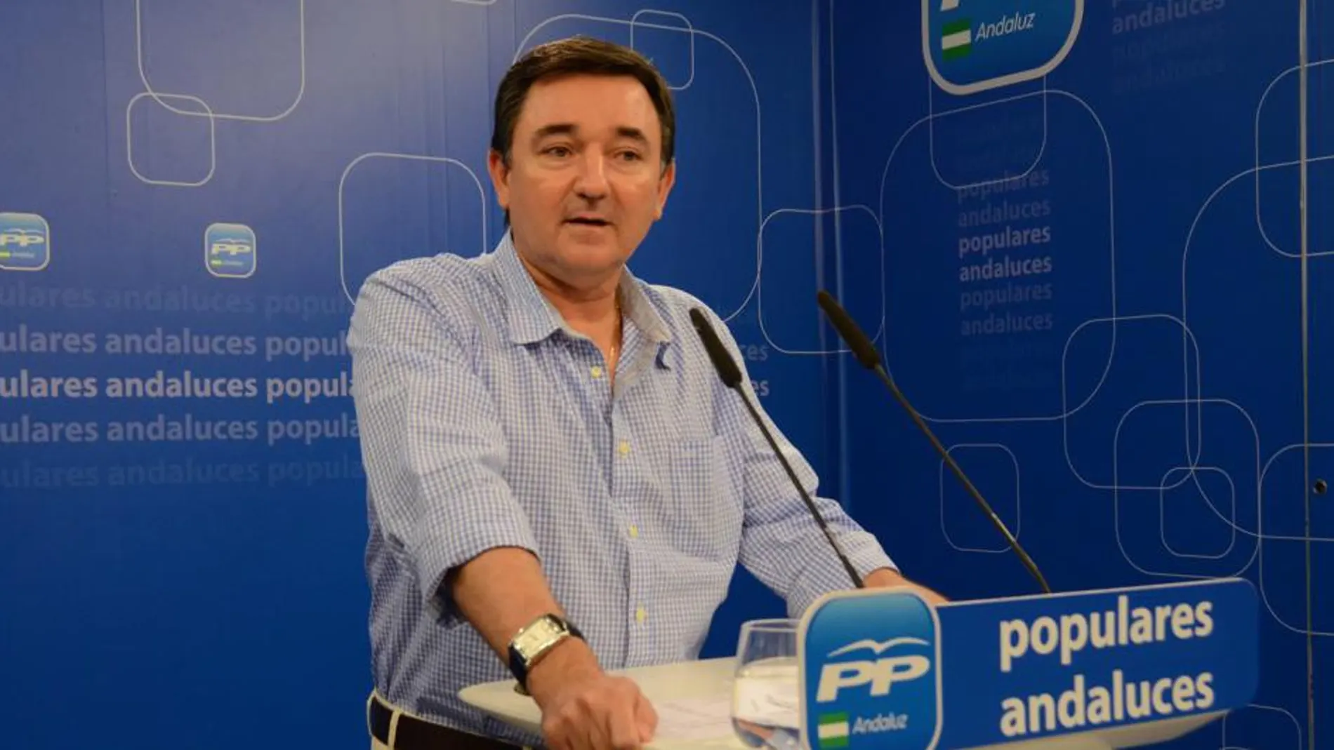 El vicesecretario de Universidad y Educación del PP andaluz, José Jesús Gázquez.
