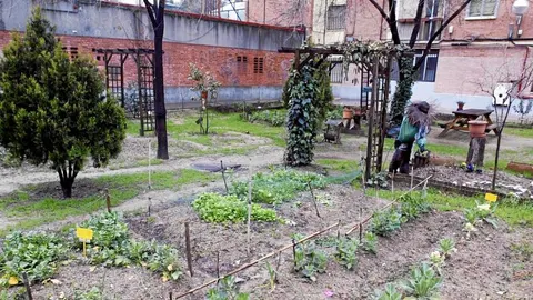 El Consistorio cede, la solidaridad paga