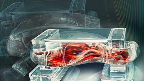 Los bio-robots imitan la estructura muscular de los seres vivos