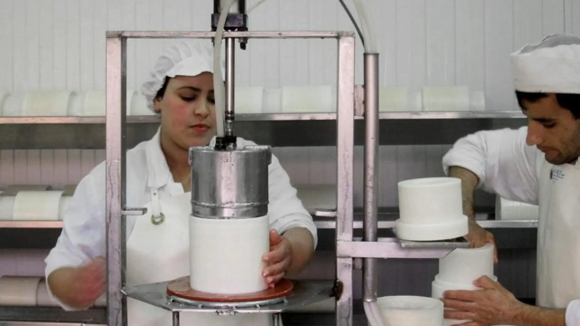 Dos empleados de la quesería artesanal en el proceso de maduración de los quesos curados que comercializa esta empresa familiar.
