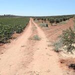 La asociación reclama un pacto político por la agricultura