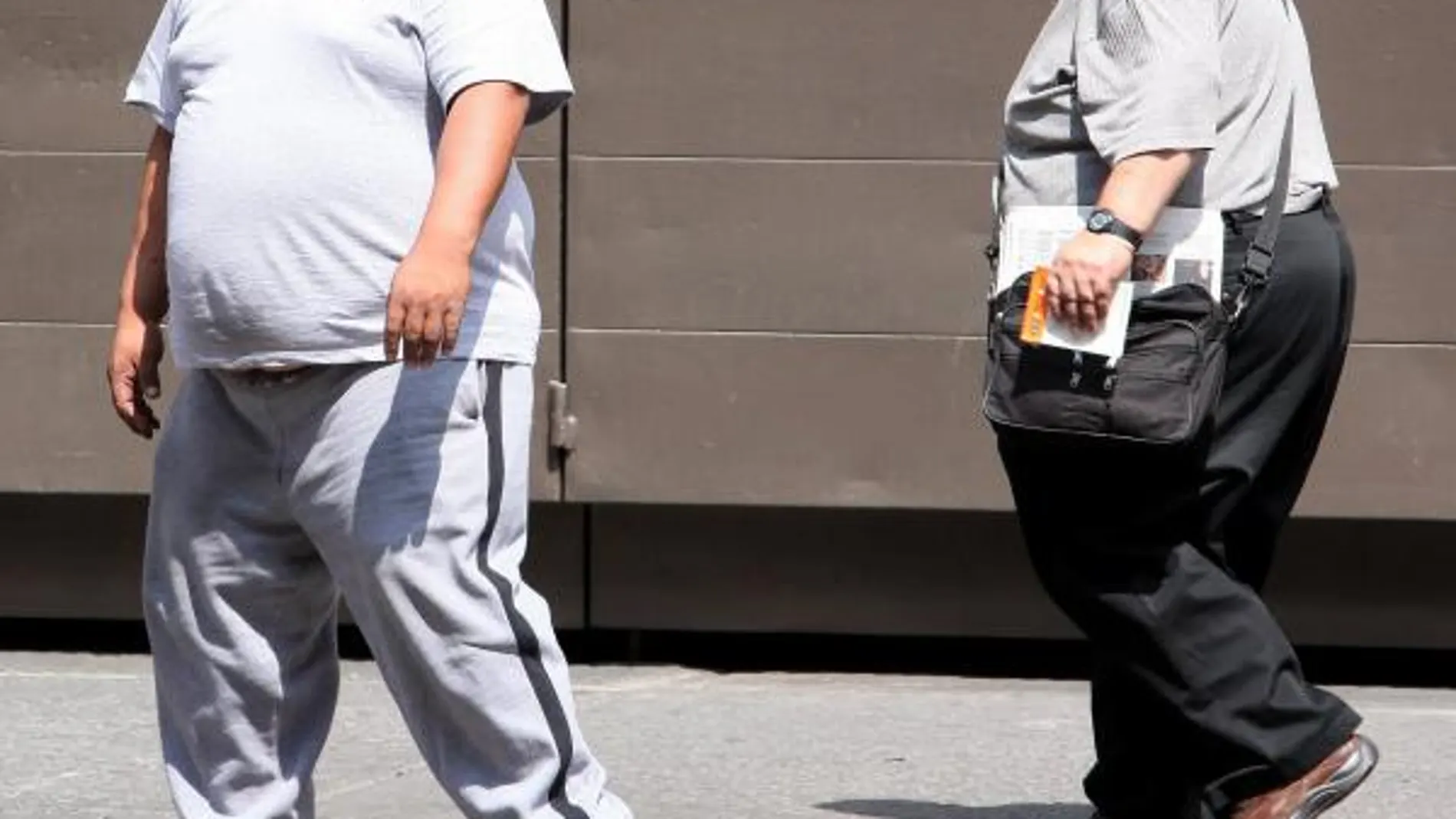 El hígado de los obesos responde peor a las infecciones bacterianas
