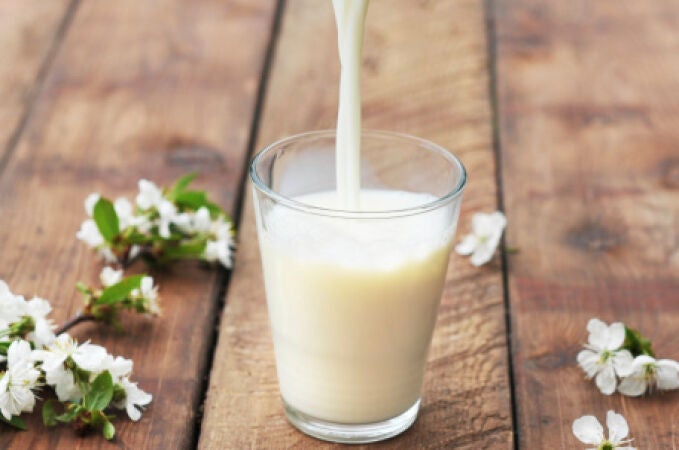 La leche, ¿beneficiosa o nociva para el organismo?