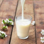 La leche, ¿beneficiosa o nociva para el organismo?