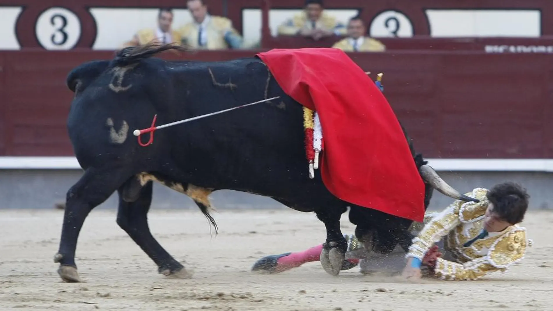 El valiente torero colombiano trata de zafarse tras ser volteado, ayer, en Las Ventas