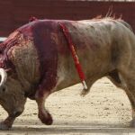 Un nuevo modelo de puya que eliminará la sangre en el lomo de los toros