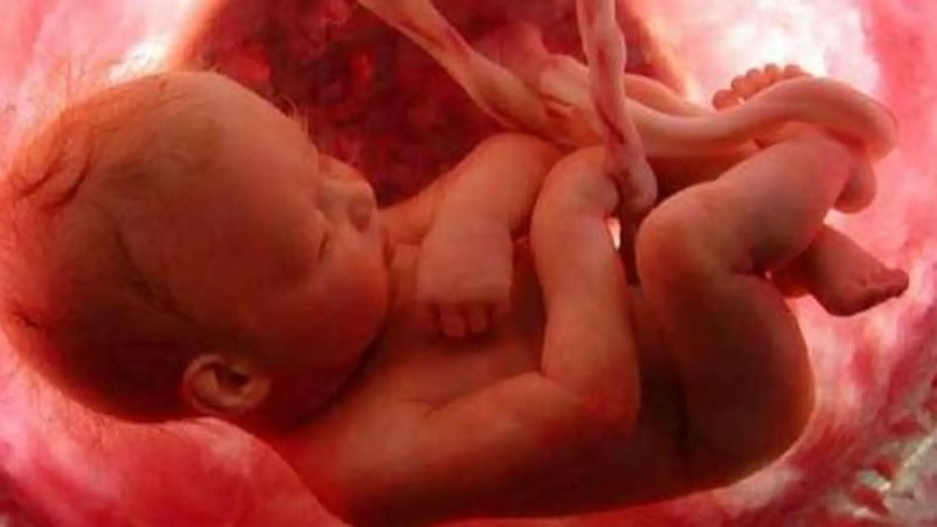 Reino Unido aprueba la técnica de «embriones de tres padres»