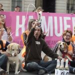 Madrid prohibirá el sacrificio de animales abandonados