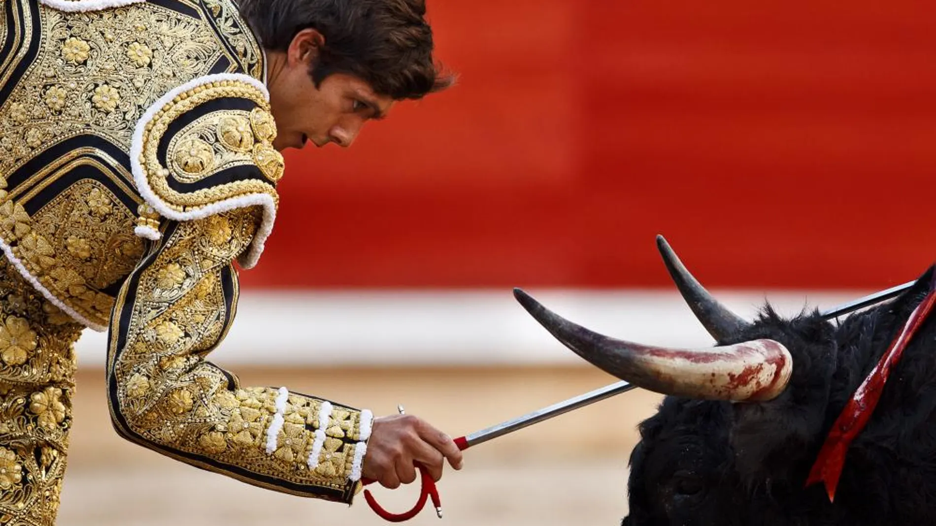 El torero Sebastián Castella, en una imagen de archivo