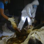 Expertos forenses analizan los cadáveres hallados en un crematorio abandonado en el balneario mexicano de Acapulco, ubicado en el estado de Guerrero.
