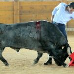 Templado natural del vasco, ayer, durante la lidia de un toro de Adolfo Martín, ganadería a la que hará frente en la Feria de Otoño