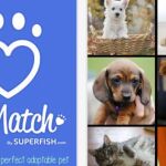 Encuentra a otro perro o gato parecido a tu antigua mascota gracias a PetMatch