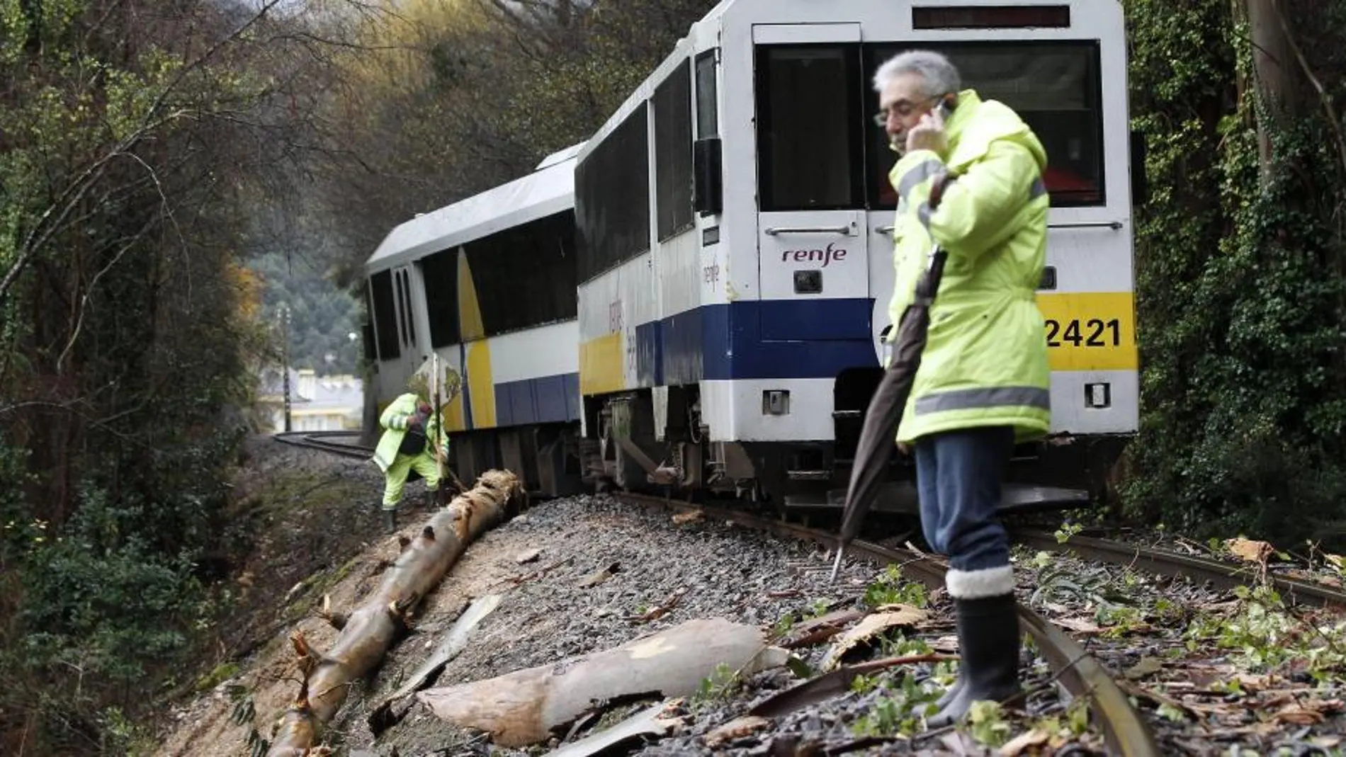Un tren Feve ha descarrilado a la altura de Covas (Lugo) debido a la caída de un árbol provocada por el temporal de viento y lluvia que azota a Galicia