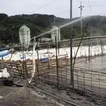 Trabajadores de Sanidad desinfectan una granja de gansos tras la sospecha de gripe aviar en Taipei (Taiwán)