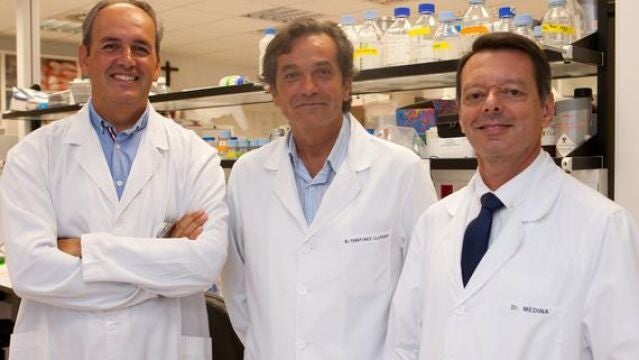 Juan José Lasarte, José A. Martínez-Climent y Juan Francisco Medina, investigadores del CIMA de la Universidad de Navarra. / Manuel Castells