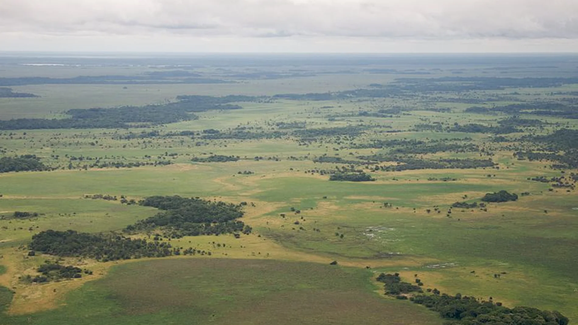 Una imagen aérea de la región de los Llanos de Moxos