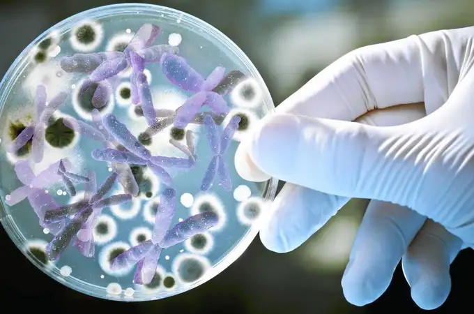 Resistencia a los antimicrobianos: la OMS alerta de su “elevado y preocupante” aumento en todo el mundo