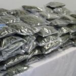 Incautados en Murcia 110 kilos de cogollos de marihuana con destino a Reino Unido