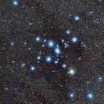 Diamantes en la cola del escorpión