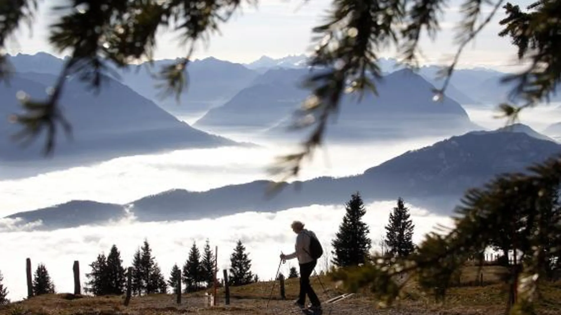Aumentaron los viajes de fin de semana (+8,7%), mientras que descendieron los viajes de vacaciones de Navidad (-8%)