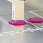 En investigaciones previas ya se habían usado impresoras de inyección para imprimir suspensiones de células en hidrogeles