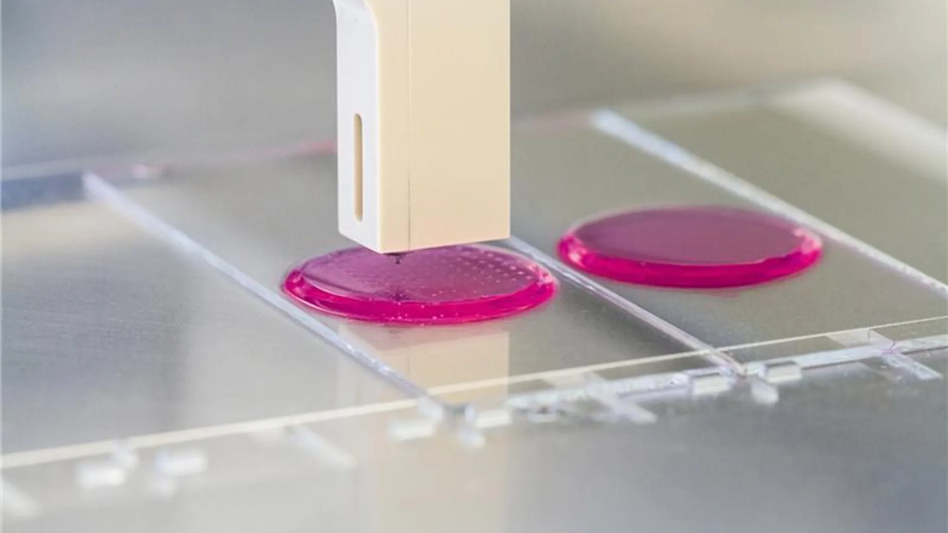 En investigaciones previas ya se habían usado impresoras de inyección para imprimir suspensiones de células en hidrogeles