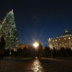 Árbol de Navidad en la plaza de San Pedro del Vaticano.