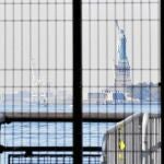 La Estatua de la Libertad, en Nueva York, también permaneció cerrada