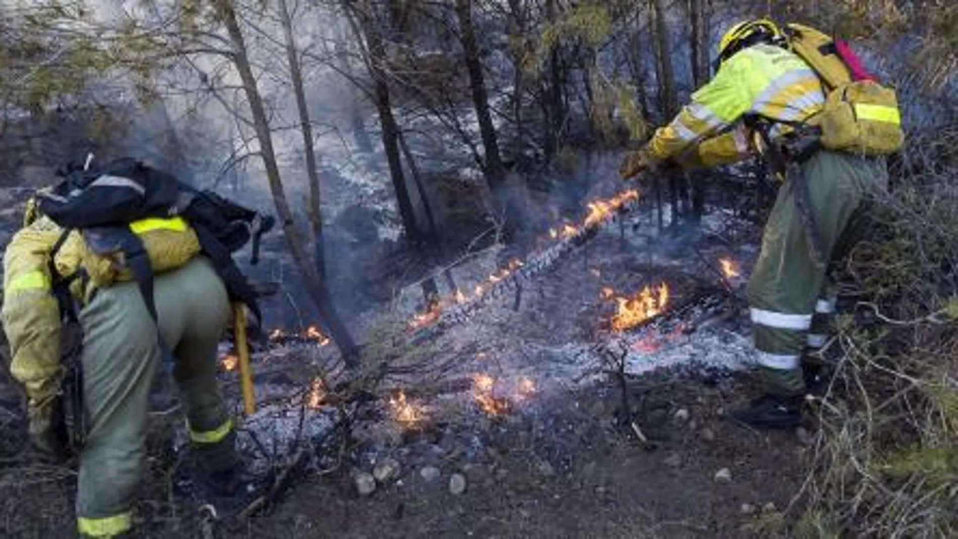 Dos forestales trabajan durante las labores de extinción del incendio forestal en el Parque Natural del Montgó, en el término municipal de Dénia (Alicante).