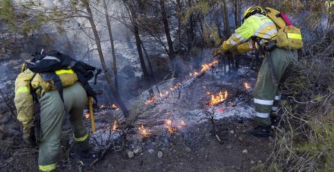 Dos forestales trabajan durante las labores de extinción del incendio forestal en el Parque Natural del Montgó, en el término municipal de Dénia (Alicante).
