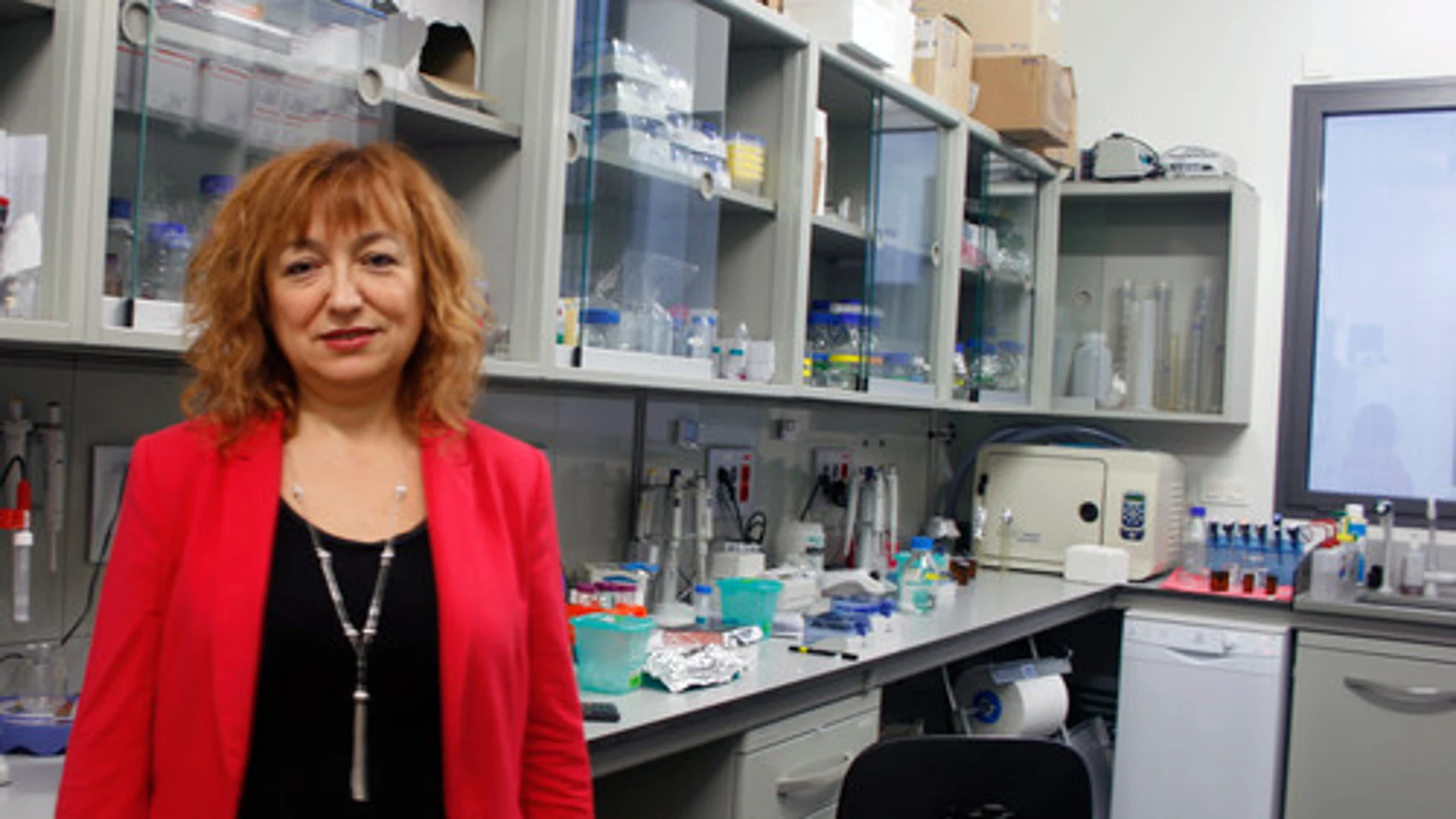 La responsable del Grupo de NanoBioSensores y Aplicaciones Bioanalíticas del ICN2 catalán, Laura Lechuga