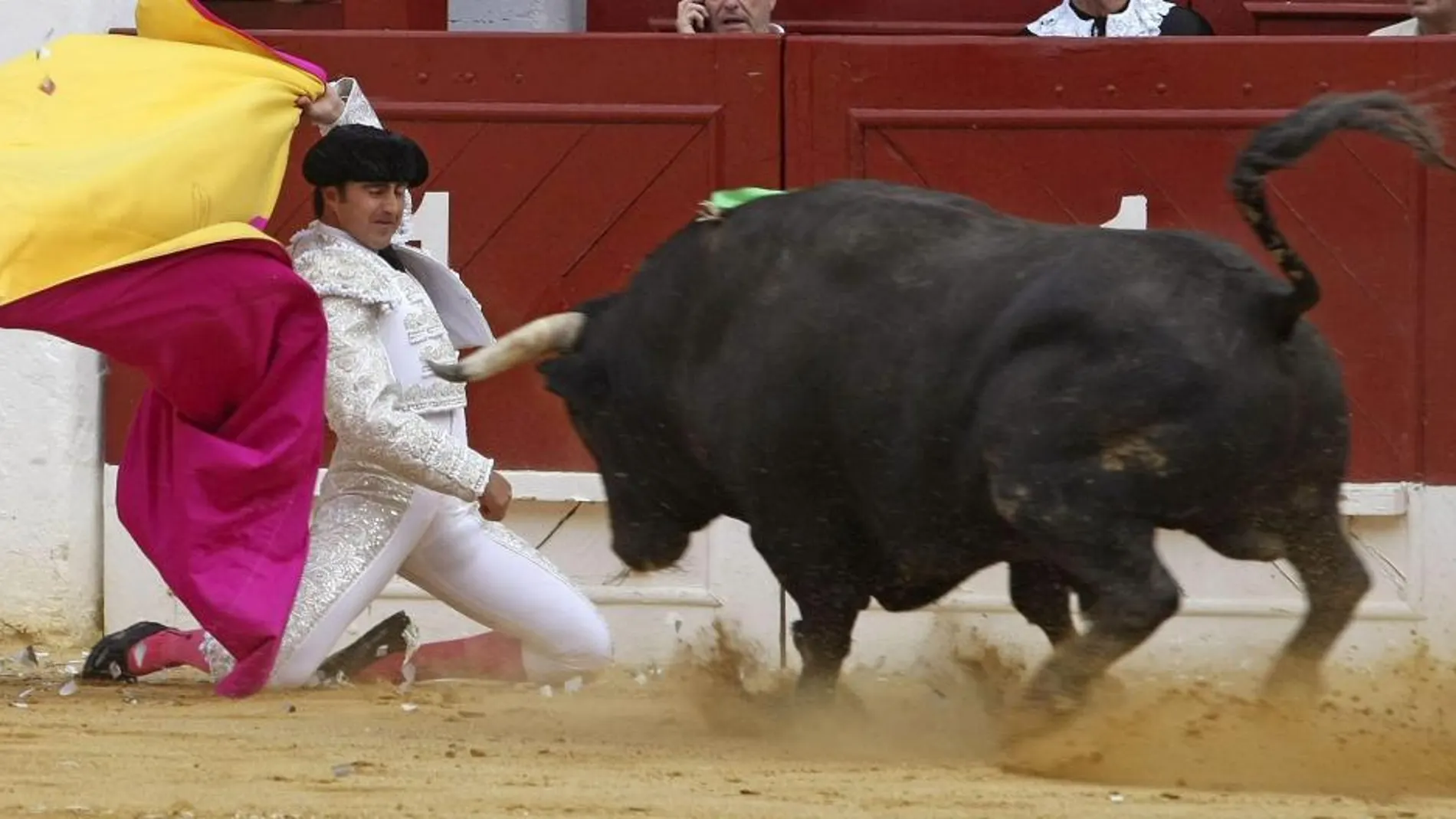 El Fandi recibe con una larga a uno de sus toros hoy en Alicante