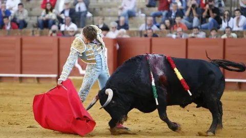 Derechazo de Lama de Góngora, esta tarde en La Maestranza