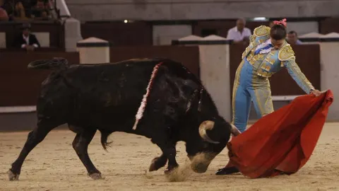 Novillo de José Cruz lidiado en Las Ventas el 10 de julio de 2011