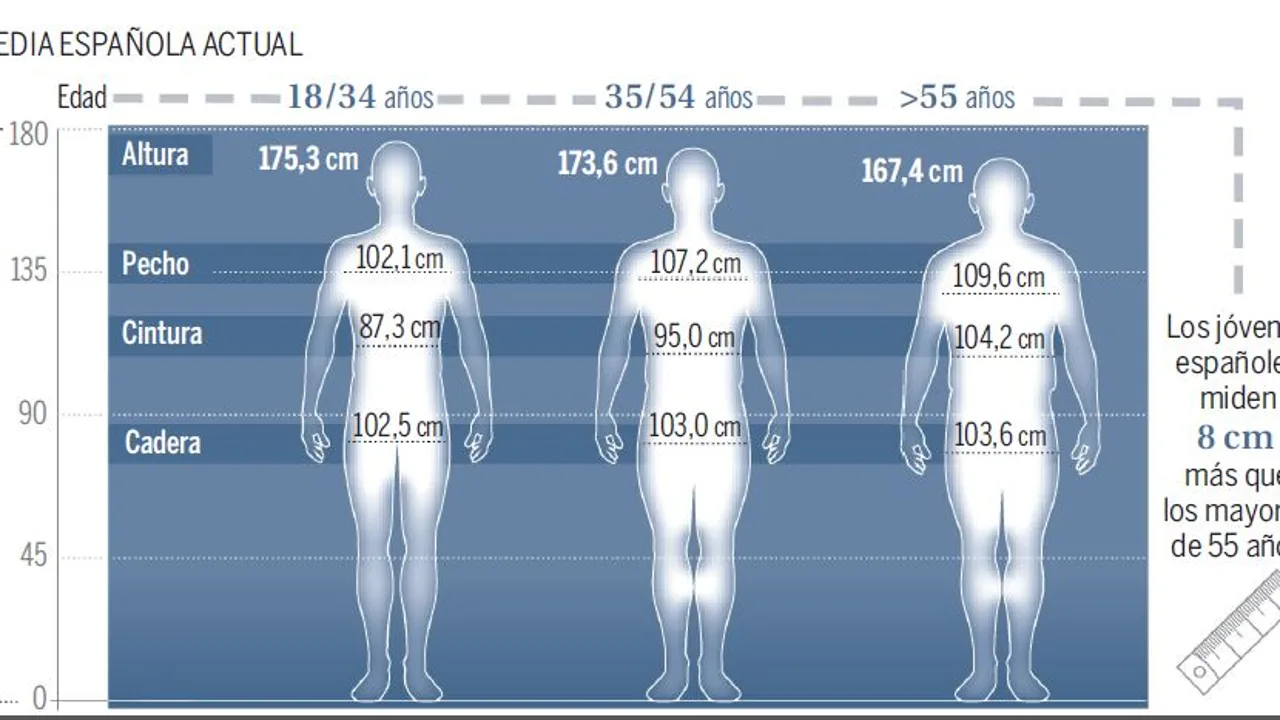 ¿Cuál es la estatura media de hombres y mujeres en España y cómo ha evolucionado? 3 Merca2.es Factores determinantes en la estatura media