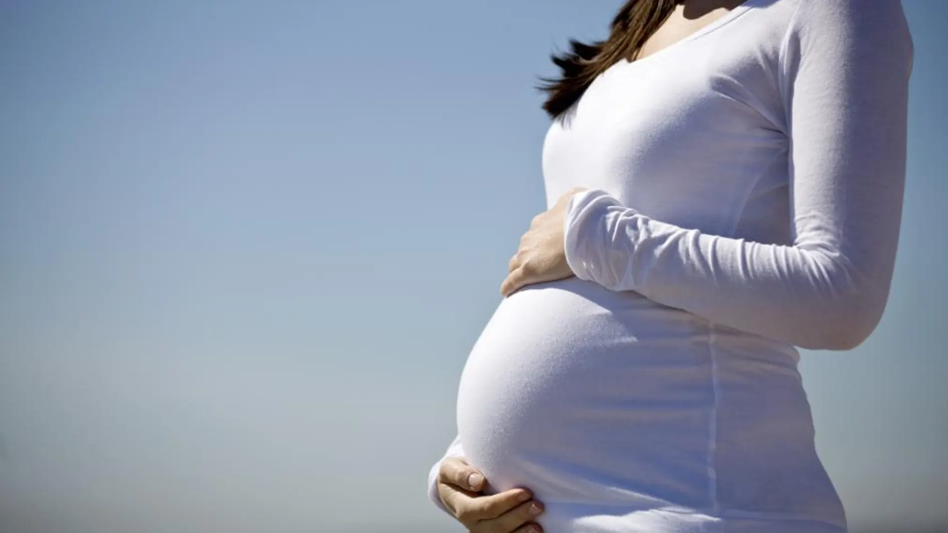 El Gobierno dará ayudas a las mujeres para que sigan con su embarazo
