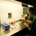 Biólogo del IVI trabajando en un laboratorio de fecundación in vitro. En este centro se investigan terapias para evitar el ovario poliquístico
