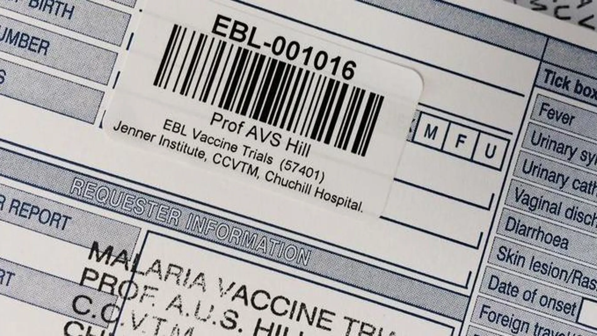 Dos ensayos prueban la primera vacuna contra el ébola en humanos