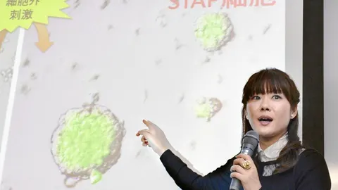 Haruko Obokata presentando con firmeza un hallazgo que se prometía revolucionario.
