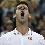  Djokovic derriba a Tsonga para entrar en los cuartos de Wimbledon