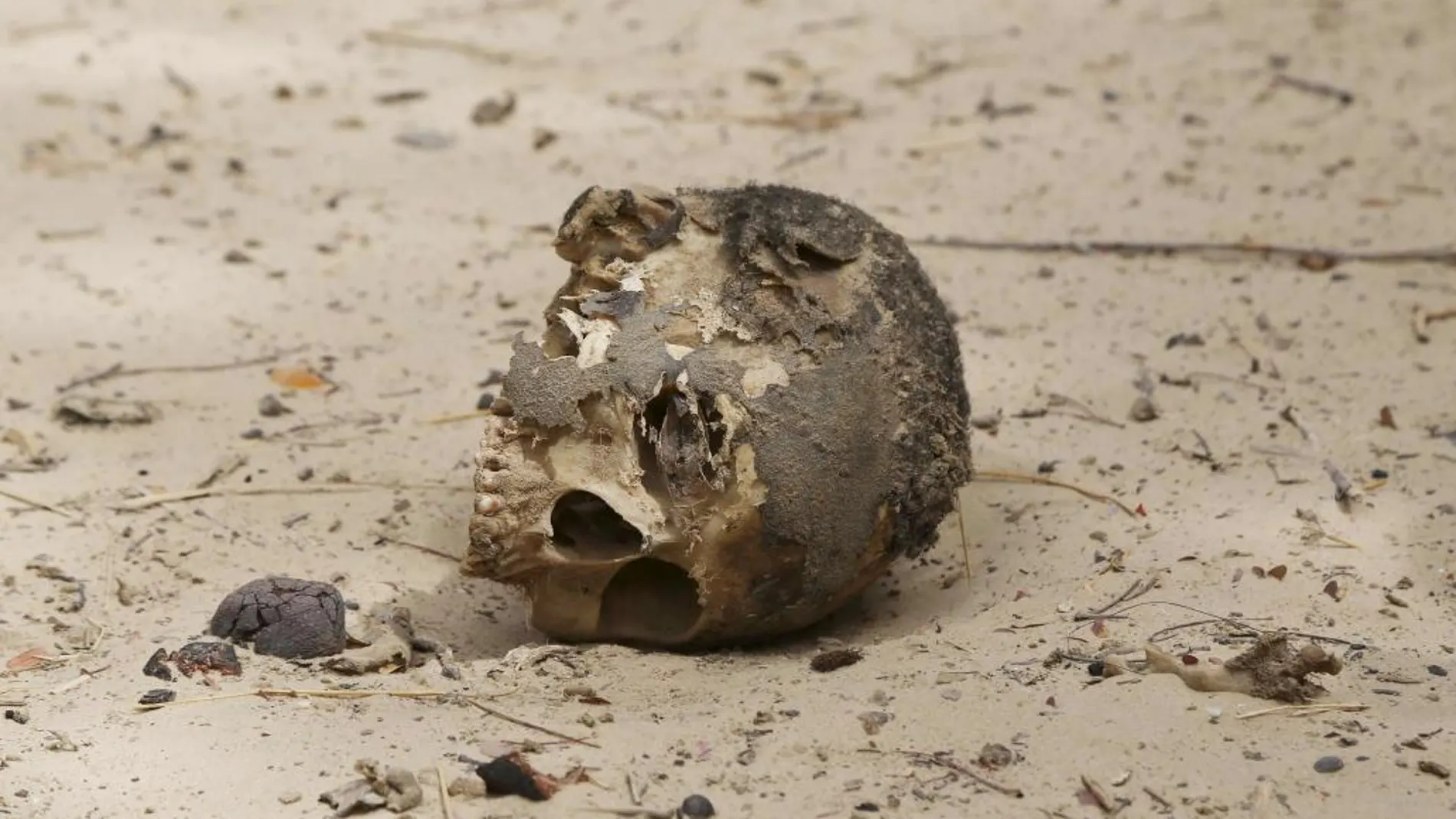 El cráneo de un decapitado por los yihadistas en Damasak