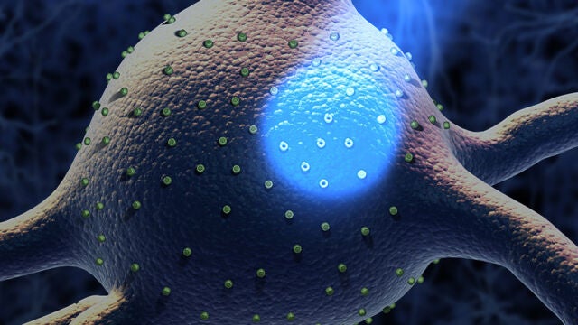 McGovern Institute for Brain Research and Sputnik Animation