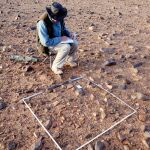 La abundante cantidad de piedras marcadas por la acción del hombre hace que en cada metro cuadrado de la zona se localicen hasta 75 herramientas distintas