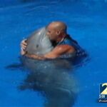 Hallan muerto a un entrenador de delfines acusado de maltrato animal