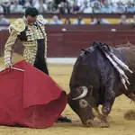  Ponce indulta un toro de Olga Jiménez en Murcia