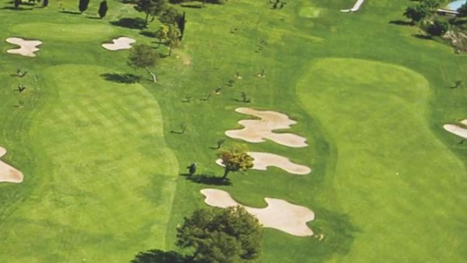 Gecko Pro Tour