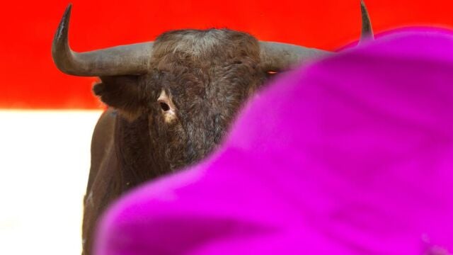 Toro de Alcurrucén