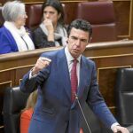 El ministro Soria, durante su comparecencia, ayer, en el Congreso